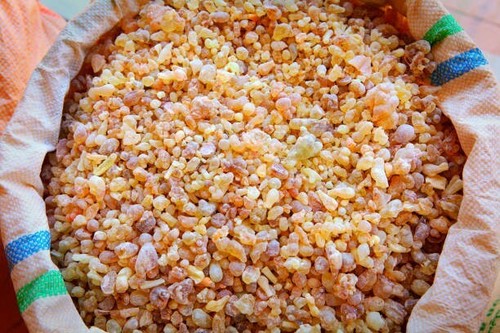 50g Premium Omani Luban Frankincense  Arabic Gum 100% Pure.  لبان عماني نقي .