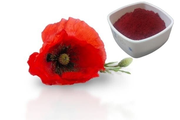 Moroccan Aker Fassi/Red Poppy Powder aker el fassi Akar Fasi Skin Care .عكر فاسي